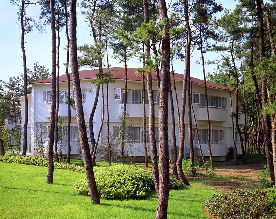 Cottage Himuka Miyazaki Pokój zdjęcie