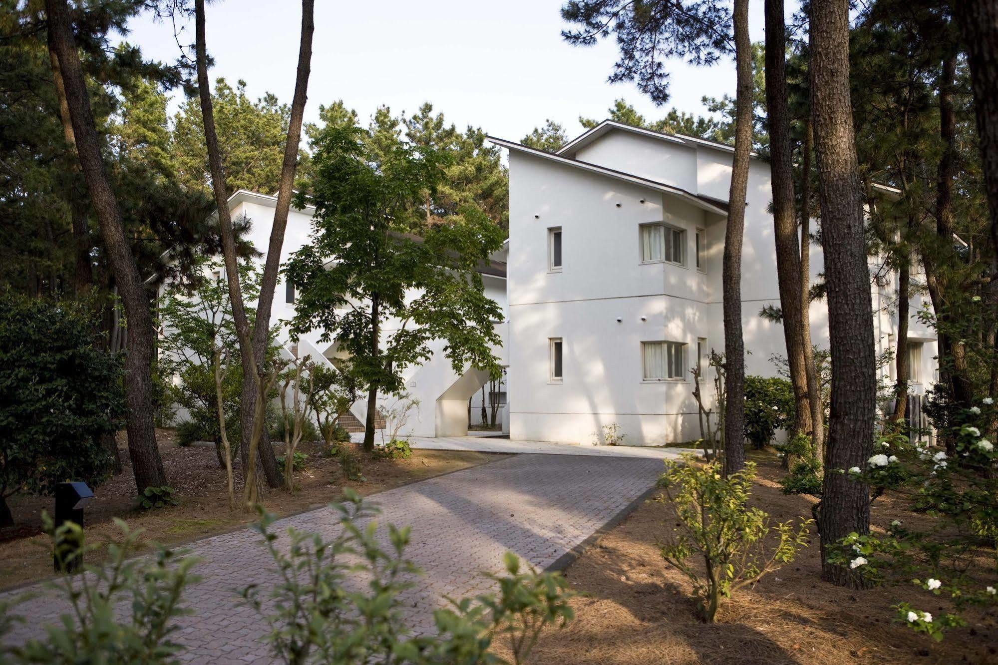 Cottage Himuka Miyazaki Zewnętrze zdjęcie